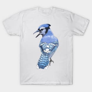 Blue Jay Detailed Illustration T-Shirt